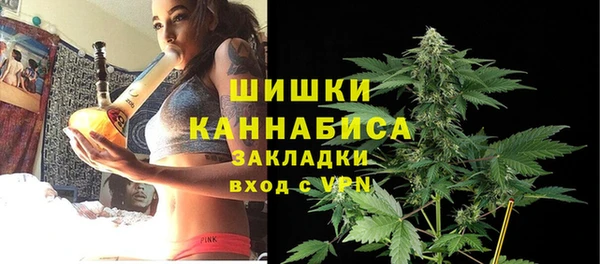 тгк Арсеньев