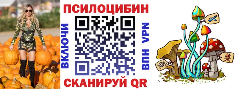 купить наркоту  Мурманск  гидра онион  Псилоцибиновые грибы мицелий 
